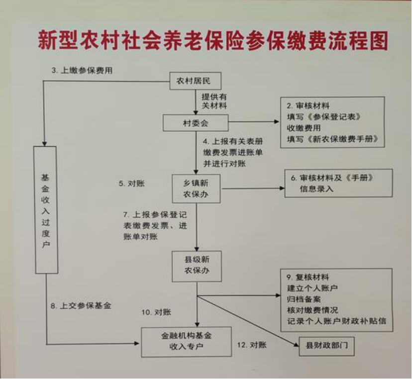 江门农村医保和社保有什么区别(农村医保跟社保的区别)